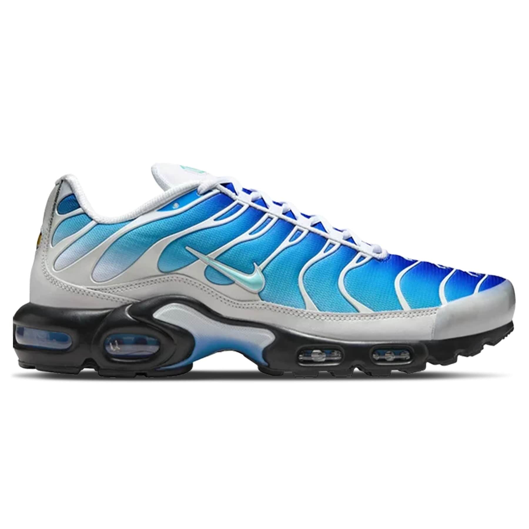 One Block Down x Nike Air Max Plus 'Reverse Pack - Dry Water'